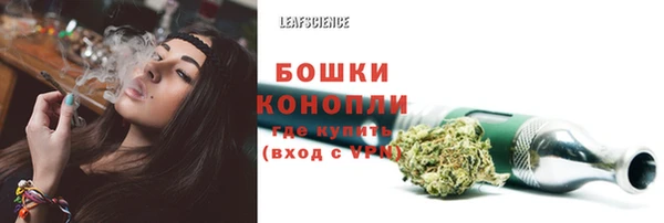 мескалин Бородино