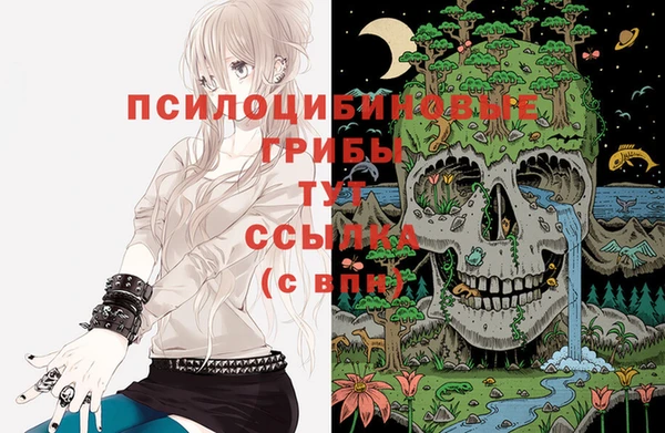 мескалин Бородино