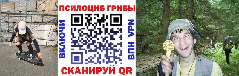 как найти   Кириши  kraken маркетплейс  даркнет клад  Галлюциногенные грибы Psilocybine cubensis 